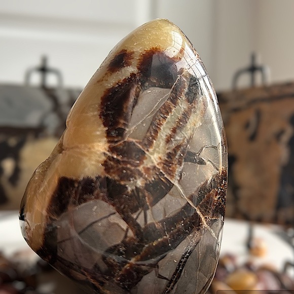 SOLD 🐉 Septarian Egg Nodule // Madagascar 🐉//UV reactive! - Picture 4 of 16